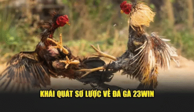 23win Cockfighting – Fiery Battles, Big Wins with Every Strike